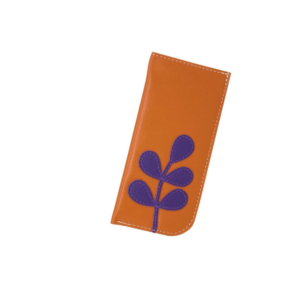 glasses cases